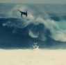 mitch-rawlins-bbf-bodyboardfrance